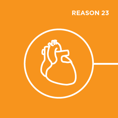 Reason 23