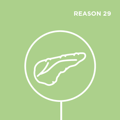 Reason 29